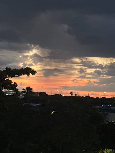 This image depicts a sunset over a suburban landscape in Delray Beach, Florida, United States of America. Dark, heavy clouds dominate the upper portion of the frame, with lighter clouds illuminated by the setting sun creating bands of orange and yellow hues across the horizon. Silhouetted against this vibrant sky are the dark shapes of trees and foliage in the foreground, obscuring much of the ground-level detail. In the middle ground, there are faint outlines of buildings, possibly commercial structures or residences, and the tops of streetlights are visible. A palm tree is discernible as a dark silhouette against the brighter sky. The overall impression is of twilight settling over a tropical environment.