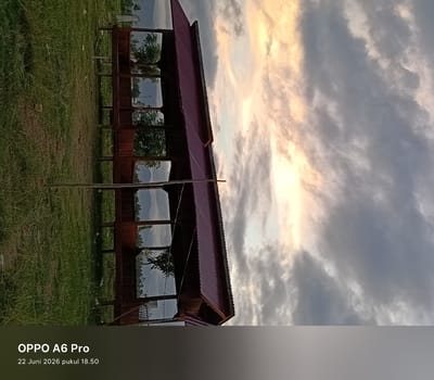 The image depicts an outdoor scene with a wooden structure in the foreground, characterized by its reddish-brown color and a corrugated metal roof. The structure appears to be a long, open-sided building with multiple window-like openings that reflect the sky and surrounding trees. The building is situated on a grassy area, with a slightly uneven terrain. In the background, there are hints of a rural or semi-rural environment, with some distant trees and a cloudy sky. The sky itself is a prominent feature, displaying a dramatic cloud formation with hues of yellow, orange, and gray, suggesting either sunrise or sunset. The image has a timestamp in the bottom left corner indicating "OPPO A6 Pro" and "22 Juni 2026 pukul 18.50," which translates to "June 22, 2026, 6:50 PM." While the location of Blangkutacoh, Indonesia, is mentioned in the prompt, it is not explicitly visible or identifiable within the image itself. The scene is static, with no people or active subjects present. The overall atmosphere is serene and natural, with the interplay of light and shadow on the clouds and the structure contributing to a visually appealing composition.