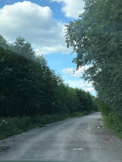 The image depicts a rural dirt road winding through a dense forest. The road is unpaved and shows signs of wear, with several puddles of water and patches of exposed gravel. Tall, leafy trees line both sides of the road, their branches forming a canopy overhead that filters the sunlight. The sky above is a bright blue with scattered white, fluffy clouds. The overall impression is one of a remote, natural setting, likely in a region with plentiful rainfall to create the puddles on the road. The location is specified as a street in Naberezhny, Russia.