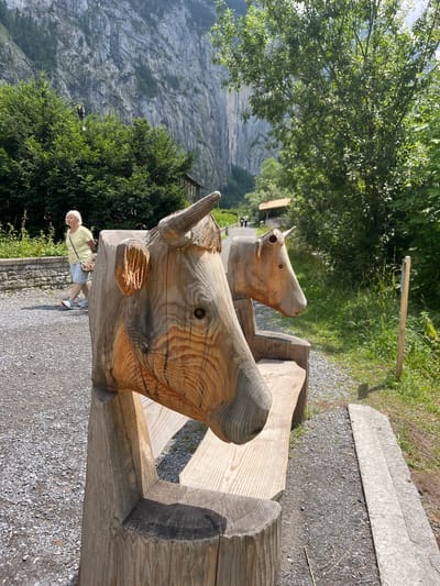 In Wengen, Switzerland, a wooden bench designed to resemble cow heads sits on a gravel path. A woman in a yellow shirt and shorts walks away from the camera on the left side of the path, towards a stone wall. Behind her, lush green trees line the path, with a steep, rocky mountain face rising in the background. The bench is the primary focus, with two carved cow heads forming the armrests, facing towards the right of the frame. The lighting suggests it is daytime, with sunlight casting shadows.