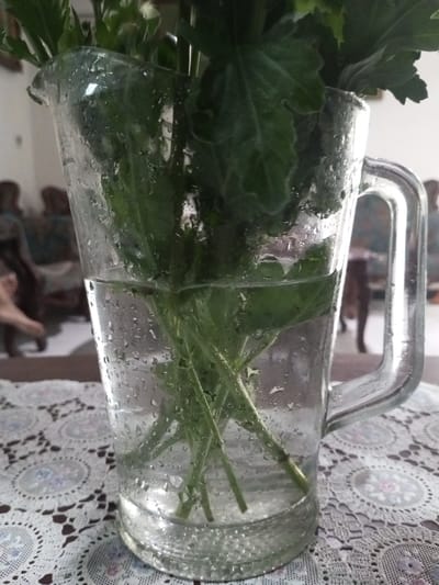 A clear glass pitcher, containing water and multiple green plant stems with foliage, rests on a table covered by a patterned light-colored textile. The pitcher's outer surface is covered in condensation droplets. The background is out of focus, revealing indistinct human figures and furniture within an interior setting. A blurred human foot is visible on the left side of the frame. This scene is situated in Khouathineung, Laos.