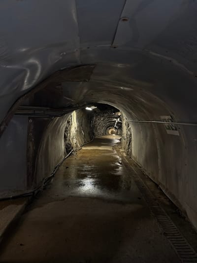 The scene depicts an unoccupied, dimly lit underground tunnel in Pellafol, France. The tunnel presents an arched profile, with sections of its ceiling and upper walls lined with corrugated metal and flat grey panels, showing signs of wear and rust on fasteners. The left wall transitions from a lined section to exposed, rough-hewn rock. Electrical conduits or pipes run horizontally along the lower portion of the left wall. The right wall features a white rectangular sign with green emergency pictograms. The concrete pathway forming the floor is visibly wet, with reflective puddles scattered throughout, particularly in the foreground and mid-ground. A continuous metal drainage grate runs along the right edge of the pathway. Multiple industrial-style light fixtures are installed overhead, casting pools of light and progressively diminishing illumination towards the tunnel's distant vanishing point. No individuals, vehicles, or active objects are present.