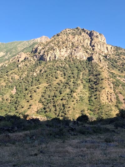 The image is a vertical, wide-angle shot of a steep, rocky mountainside covered in sparse vegetation under a clear blue sky. The mountain face is characterized by jagged rock formations and patches of green shrubs and grasses, indicative of a semi-arid or mountainous environment. The sunlight highlights the textures of the rocks and vegetation, casting shadows that emphasize the ruggedness of the terrain. The lower portion of the image transitions into a darker, more densely vegetated area, possibly a valley or a different slope of the mountain, where shadows are more pronounced. The overall impression is one of natural, untamed landscape. There are no people, objects, or text visible in the image. The clear sky suggests a daytime scene, likely with good weather conditions. The location context provided is Shatin, Armenia, which aligns with the mountainous terrain depicted.