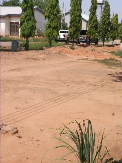 A ground-level, wide shot captures an outdoor scene in Goron Dutse, Nigeria, characterized by sandy terrain and sparse vegetation. In the background, a light-colored, single-story building with a white roof is visible, situated behind a row of tall, slender evergreen trees. A green trash bin stands to the left of the building. Parked on a dirt road in front of the trees are several vehicles, including a white Toyota pickup truck. Two individuals, one wearing blue and another in darker clothing, stand near the rear of a dark-colored vehicle, seemingly engaged in conversation. The foreground is dominated by reddish-brown sand, marked by tire tracks, with a clump of green grass in the lower right corner. The overall impression is of a dry, functional area, possibly part of a school or administrative complex, under a clear sky.