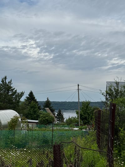 The image depicts a cloudy sky over a rural landscape, likely in or near the village of Lyady, Russia, known for its proximity to the Dnieper River. In the foreground, a wire mesh fence runs horizontally across the bottom of the frame, partially obscuring a garden area. This garden features a white greenhouse on the left, a green mesh fence, and various plants, including some white flowers. Behind the garden, several trees are visible, including tall pine trees and smaller deciduous trees. Further back, a body of water, possibly a lake or river, stretches across the middle ground, bordered by a dense forest on the far bank. A wooden utility pole with electrical wires stands in the middle of the scene, connecting to the right side of the frame where the roof of a metal-clad building is visible. The overall impression is one of a natural, somewhat undeveloped, semi-rural setting.