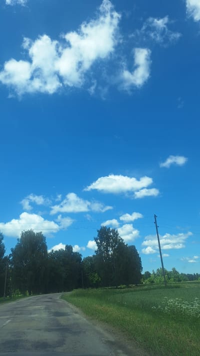 The image depicts a rural scene with a paved road curving through a grassy field and trees under a bright blue sky with scattered white clouds. A single utility pole with wires is visible to the right of the road. The road surface appears worn and patchy. The trees are dense and green, forming a line along the left side of the road and in the background. The grass in the field is tall and green with some white wildflowers scattered within it. The sky occupies the upper half of the image and is clear and vibrant blue, dotted with fluffy white cumulus clouds. The lighting suggests it is daytime, likely late morning or early afternoon. The scene appears to be devoid of people or vehicles. The overall impression is one of a tranquil, natural landscape.