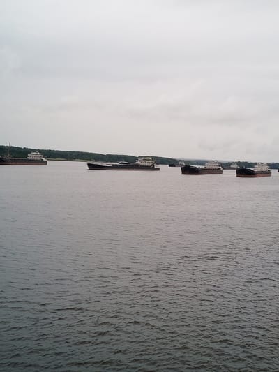 This is an eye-level, medium shot of a fleet of cargo ships on a body of water. The sky is overcast and gray. The water is choppy, with small waves. The ships are lined up in the distance, stretching across the horizon. The cargo ships are dark in color with white superstructures. The landscape in the background appears to be a forest. The image appears to have been taken from another boat or from the shore.