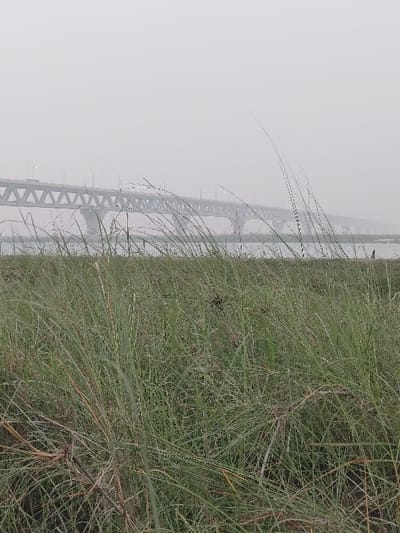 This image depicts a hazy outdoor scene located in Naodoba, Bangladesh. The foreground, encompassing the lower two-thirds of the frame, is filled with dense, tall grass exhibiting green and dried brown stalks. Immediately behind the grass, a wide body of water, likely a river, stretches horizontally across the frame. In the midground, a substantial, multi-span truss bridge, grey in color, crosses the water. The bridge structure features visible triangular supports, evenly spaced streetlights, and indistinct forms of vehicles on its deck. On the far bank of the river, to the right of the bridge, two small, dark, indistinct figures, consistent with human silhouettes, are present. The upper portion of the image is dominated by a uniform light grey sky, indicating significant atmospheric haze or fog that obscures the horizon and any distant details. No specific actions or interactions are discernible beyond the implied presence of vehicles on the bridge and the two static figures.