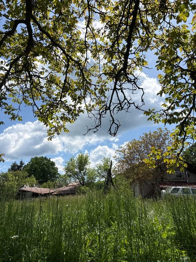 Looking up at a sky filled with clouds and framed by trees, a house and overgrown field are observed. The location appears to be rural and possibly Stanchov Han, Bulgaria. The trees have green leaves, indicating the presence of life and growth, but in some spots there are bare branches. The overgrown field suggests the possibility of neglect or a wild landscape. The house is partly hidden and somewhat deteriorated. The composition looks up from an unusual low angle.