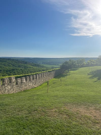 The image shows a view of a landscape with a stone wall in the foreground. The wall is made of rough-hewn stones and has crenellations along the top, resembling a medieval fortress or castle battlement. To the right of the wall is a well-maintained green lawn. In the background, there are rolling hills covered in lush green vegetation, likely vineyards and forests, stretching towards the horizon. The sky is a clear, bright blue with a few wispy white clouds and the sun is visible, casting long shadows across the lawn. The overall scene suggests a rural or historical setting, possibly a vineyard estate or a fortified historical site. There are no people visible in the image. The location is Stăuceni, Moldova.