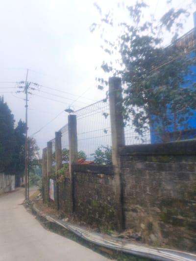 This image depicts an exterior urban scene in Morrumbala, Mozambique, captured under an overcast sky. A paved roadway, light gray in color, curves slightly to the left from the foreground into the background. To the right of the roadway, a weathered, low concrete block wall, approximately 1.5 meters high, runs parallel to the road; it exhibits significant dark green and brown staining consistent with moss and dirt accumulation. Behind this wall, a taller fence composed of vertical metal bars supported by multiple gray concrete posts extends horizontally across the midground. An overhead light fixture, dark in color, is affixed to one of these concrete posts on the left side of the fence. A corrugated metal drain or gutter system lies on the ground directly adjacent to the base of the concrete wall. A rectangular sign, predominantly white with red elements, is partially visible on the face of the concrete wall near the center-left.

In the background, beyond the fence, dense green foliage from trees is visible, with a prominent, vibrant blue building facade discernible behind the trees on the right side. Elements of a brown or orange tiled roof are also visible above the blue facade. To the far left, a tall utility pole with multiple insulators and power lines extends vertically against the sky, positioned between the roadway and a cluster of dark green, slender trees. No individuals or specific actions are visible within the frame.