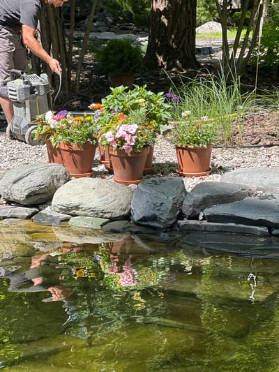 A person is tending to potted plants next to a pond. The person is wearing a dark t-shirt and light-colored pants and is holding a pressure washer. The potted plants are arranged on gravel next to a collection of large, dark stones that form the edge of the pond. The water in the pond is green and reflects the surrounding foliage and the sky. The scene appears to be outdoors, likely in a garden or yard, with trees and a stone wall visible in the background. The lighting suggests it is daytime, with sunlight casting shadows. The overall atmosphere is peaceful and suggests a task being performed outdoors on a pleasant day. Visible text on the pressure washer reads "KÄRCHER".