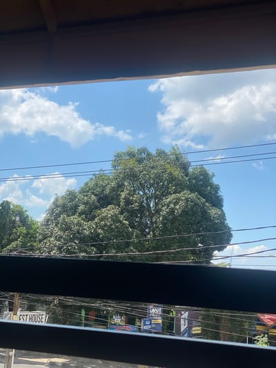 The image displays a view through a window with dark horizontal blinds. In the foreground, the blinds obscure the lower and upper portions of the scene. The middle ground is dominated by a large, lush green tree with a dense canopy, set against a bright blue sky with scattered white clouds. Several power lines crisscross the view in front of the tree and sky. Below the tree, a street scene is partially visible, with buildings and signs. One sign clearly reads "EST HOUSE." Another sign, partially obscured, shows "LAPOR," and further right, a sign indicates "SISTEM PENERIMAAN MURID BARU SPMB." The overall environment suggests a sunny day in an urban or semi-urban setting in Keraton, Indonesia.