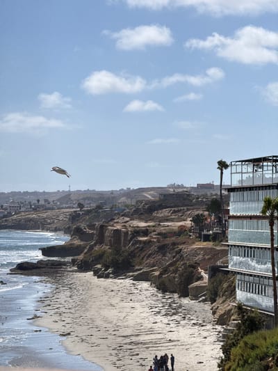 A scenic view of Puerto Nuevo, Mexico showcases a coastal landscape under a bright, partly cloudy sky. In the foreground, a sandy beach stretches along the shoreline, with gentle waves lapping at the sand. Scattered seaweed lies on the beach, indicating recent tides. To the right, a modern, multi-story building with extensive glass windows dominates the scene, its architecture contrasting with the natural surroundings. A tall palm tree stands beside the building, its fronds reaching towards the sky.
In the middle ground, rugged cliffs form the coastline, with sparse vegetation clinging to their sides. The cliffs slope down towards the sea, creating a dramatic edge. Beyond the cliffs, a town or village sprawls across the hills, with houses and buildings visible in the distance. A communication tower can be seen on a distant hilltop.
In the upper left quadrant of the image, a seagull is captured in mid-flight, its wings spread as it soars through the sky. The overall scene is one of a picturesque coastal town, blending natural beauty with modern development.