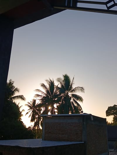 The image captures a serene sunset scene from what appears to be a rooftop in Lebbae, Indonesia. The foreground is dominated by the angled view of a rooftop with corrugated metal sheeting, bordered by a brick wall on the lower right. To the right of the rooftop is a brick building under construction, with visible mortar and concrete framing. Silhouetted against the warm, gradient sky are several palm trees, their fronds detailed by the fading sunlight. The sky itself transitions from a pale blue at the top to a soft, peachy orange near the horizon where the sun is setting. The overall atmosphere is tranquil, with no people or active events depicted.