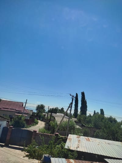 The image depicts a view of a residential area in the city of Төмөнкү Ала-Арча, Kyrgyzstan, on a clear day with a bright blue sky. In the foreground, a large, dark metal gate is visible, supported by brick pillars. To the left of the gate is a house with a red tiled roof. Beyond the gate, a dirt road winds through the neighborhood, flanked by houses with corrugated metal and tiled roofs, and dense green foliage. Several utility poles with electrical wires are present throughout the scene. In the mid-ground, two tall, slender trees stand out against the sky. The overall impression is one of a semi-rural or suburban setting. There are no people visible in the image.