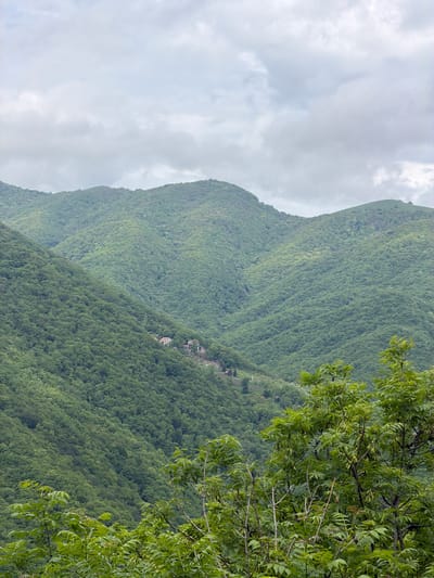 The image shows a landscape with mountains and trees in Tsodoreti, Georgia. The mountains are covered in dense green vegetation. A cluster of buildings is situated on the mountainside. Tree branches with green leaves are present in the foreground on the right. The sky is overcast with gray clouds.