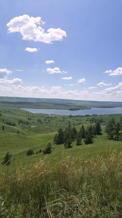 The image depicts a scenic landscape with rolling green hills leading down to a body of water, likely a lake or reservoir. The sky above is a clear blue with scattered white clouds. In the foreground, tall dry grasses and some green vegetation are visible, creating a natural framing effect. Further into the scene, patches of trees dot the hillsides, and the water is surrounded by lush green terrain, with hints of distant fields and possibly some structures or a small settlement along its edges. The overall impression is of a serene, natural environment. The location is identified as Mikulino, Russia.