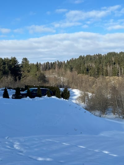 The scene depicts a winter landscape in Юнькаўскі сельскі Савет, Belarus. The ground in the foreground and midground is covered by a substantial layer of snow, exhibiting faint, small tracks on an upward slope. A dark-colored SUV is parked in the midground, partially concealed by a row of evenly spaced, small conical evergreen shrubs and a taller, dense green hedge behind them. Beyond this arrangement, the snow-covered terrain descends into a valley before ascending into a series of hills. These hills are densely covered with a mix of tall coniferous trees and bare deciduous trees. The sky is clear blue with scattered white stratocumulus clouds. The environment is brightly lit by sunlight, casting distinct shadows across the snow and vegetation. No individuals are present in the image.