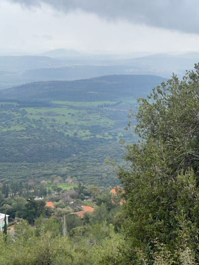 The image displays an elevated panoramic view of the landscape within the Merom HaGalil Regional Council, Israel, under an overcast sky. In the foreground, dense green foliage, including trees and shrubs, partially obscures a residential area featuring multiple houses with visible reddish-orange tiled roofs and a curving paved road. The midground encompasses a broad expanse of rolling hills covered in a mix of dark green dense forests and lighter green open fields. Several horizontal utility lines are observed traversing this midground. The background consists of successive layers of hills gradually fading into an atmospheric haze, with faint outlines of distant structures. No individuals, animals, or specific activities are discernable.