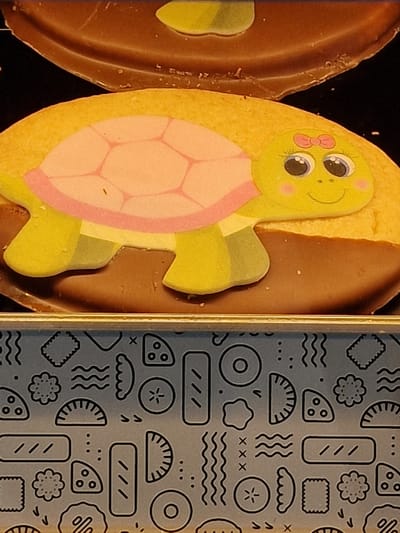 The image depicts two iced cookies and a patterned container. On the left is a brown, oval-shaped cookie with a yellow central area. Adjacent to it is a yellow oval cookie decorated with a pink and green cartoon turtle. The container on the right has a blue-grey background with black line drawings of food items. The location, Durham, United Kingdom, cannot be determined from the image.