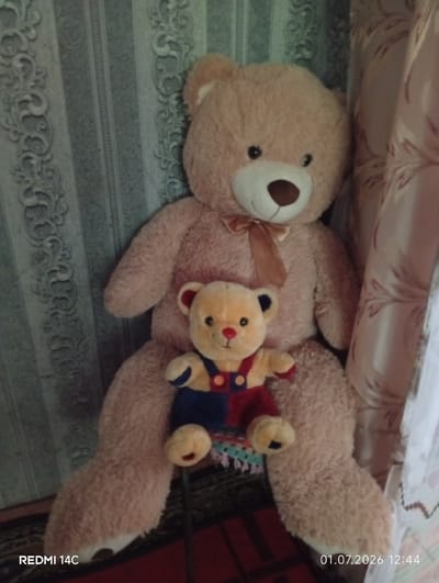 This media file displays two teddy bears, one significantly larger than the other, situated in an indoor setting. The larger bear is a light brown, plush toy with a bow tie and is positioned centrally, appearing to be sitting. A smaller, lighter brown teddy bear with red and blue overalls is placed on the lap of the larger bear.
The background consists of a textured, light blue and grey wallpaper with an ornate damask pattern. To the right of the bears, a sheer, light pink curtain with a floral pattern is visible. The floor is covered with a dark rug that has some visible red elements.
The scene appears to be in a domestic environment, possibly a bedroom or living room. The lighting suggests it is daytime, but no specific weather conditions are discernible. The image has a casual, still-life quality, with no discernible activity other than the posed arrangement of the subjects.
Visible text in the lower left corner reads "REDMI 14C", and in the lower right corner reads "01.07.2026 12:44". The date "01.07.2026" appears to be a future date, suggesting it might be a watermark from the device's date settings. The time "12:44" is also displayed. The location context provided is Pepeni, Moldova.