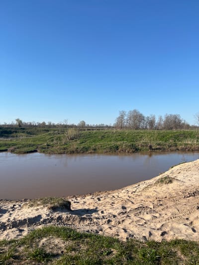 The image depicts a river scene in Voronino, Russia, with the river running horizontally across the frame. The river water is murky brown. The sky is a clear blue. The banks are covered in grass and some trees. On the near bank, there is light-colored dirt showing. The shot appears to have been taken from the top of an embankment.