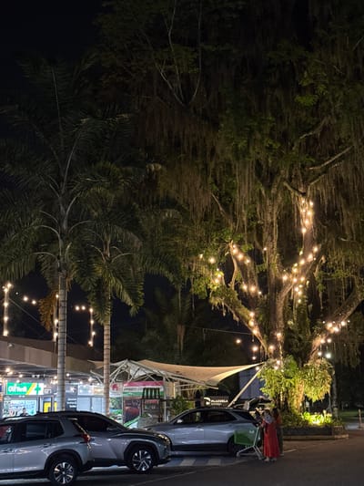 The image displays an outdoor commercial area at night in Pereira, Risaralda, within the Area Metropolitana Centro Occidente (AMCO), Colombia. The foreground features a paved area, possibly a parking lot or driveway, where three SUVs are parked or stationary; the leftmost is silver, followed by a dark grey vehicle, and a light-colored SUV partially obscured on the right.
On the left, a commercial building complex is illuminated, showcasing several storefronts, including one identified as "CRUZ VERDE +". A white tensile canopy structure covers an open-air area further right, with signage partially indicating "PROD... CAFE". Overhead, strings of warm-toned lights are draped across the area and between palm trees.
The right side of the scene is dominated by a large, mature tree heavily draped with epiphytes, extensively decorated with numerous warm-toned string lights. Several palm trees are also visible throughout the left and mid-ground. Near the base of the large tree, next to the road and a sign that partially reads "PLAZUELA GOURMET", two individuals are present. One individual, wearing a red garment, pushes a green shopping cart. Another person is partially visible behind them. The overall environment is well-lit by artificial sources, creating a distinct ambiance.