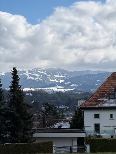 The image depicts a panoramic view of a residential area in Fribourg - Freiburg, Switzerland, set against a backdrop of snow-covered mountains under a partially cloudy sky.

In the foreground, occupying the lower right, stands a white residential building featuring a reddish-brown tiled roof, partially dusted with snow. The structure includes multiple rectangular windows, a smaller square window, and a dark-framed door with a decorative metal grate. A modern glass railing outlines a balcony or terrace extending from its side. To the left, a prominent dark green evergreen tree occupies the mid-foreground. Below and behind the white building, another structure with a flat, dark, snow-dusted roof is partially visible, positioned behind a trimmed green hedge and a dark metal fence with a geometric pattern. A dark chimney protrudes from this roof.

The midground reveals a sprawling residential landscape with various buildings, interspersed with both bare deciduous and dark evergreen trees. Patches of green land are visible where snow has melted. A thin wisp of white smoke rises from a chimney in the mid-left. Further back, a multi-story, light-colored building is discernible.

The background features a range of snow-covered mountains, likely the Fribourg Prealps, displaying distinct white patterns consistent with ski slopes or cleared areas, intermingled with dark forested sections. The sky above is characterized by large, white-to-grey cumulus clouds, with intermittent patches of clear blue sky. No individuals are visible in the scene.