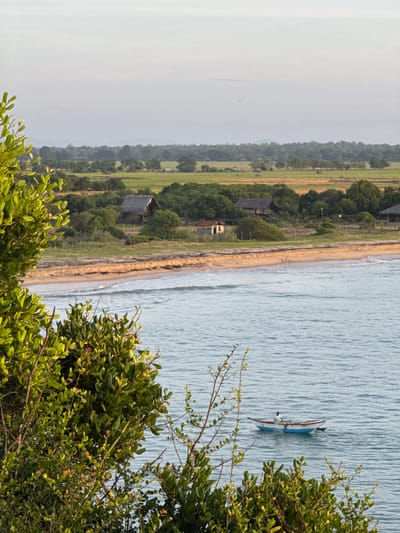 The image depicts a coastal scene in Shastrawela, Sri Lanka. The foreground is dominated by lush green foliage, with branches and leaves obscuring parts of the view. Beyond the vegetation lies a narrow sandy beach, where gentle waves of the pale blue ocean meet the shore. Further inland, a stretch of green fields is visible, interspersed with trees and several rustic structures with thatched roofs. The overall impression is one of a serene, natural environment.

A narrow, blue and white boat is present on the water, with a single individual inside, appearing to be fishing or traveling. The person is wearing a light-colored shirt and dark shorts. The water is calm with ripples, suggesting a gentle breeze. The sky is overcast and a pale gray, indicating a possibly hazy or cloudy day. The presence of cultivated fields and traditional-looking dwellings hints at a rural or village setting. The time of day appears to be daytime, though the overcast conditions make it difficult to pinpoint precisely. There is no visible text in the image. The scene evokes a sense of peace and tranquility.