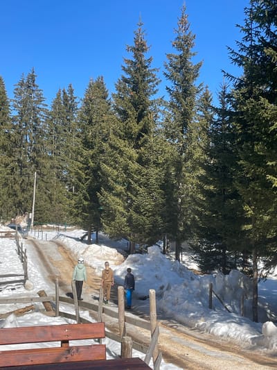 The scene depicts a winter or early spring day in Palež, Montenegro, under a clear, bright blue sky. A partially thawed dirt road, exhibiting muddy and brown patches, ascends from the lower left towards the upper right of the frame. The road is bordered by significant snowbanks on both sides, with the snow appearing deep and consolidated.
Numerous tall, dark green evergreen trees, predominantly fir or spruce, form a dense forest lining the entire background and extending along both the left and right sides of the road. Many trees display visible cones near their tops.
Three individuals are observed walking uphill along the center of the road, moving away from the viewer. The leftmost person wears a light green hooded jacket, dark pants, and a white accessory covering their head. The middle person wears a light brown, full tracksuit. The rightmost person wears a dark blue top and bright blue pants.
In the foreground, a rustic wooden fence, constructed from vertical posts and horizontal rails, runs along the left edge of the road. A section of a wooden bench or table is partially visible in the extreme lower foreground. Further up the road on the far left, a dark-colored vehicle is positioned, with a single person standing nearby. A wooden utility pole is also present on the far left, amidst the trees. The environment is illuminated by direct sunlight, casting subtle shadows on the snow and ground.