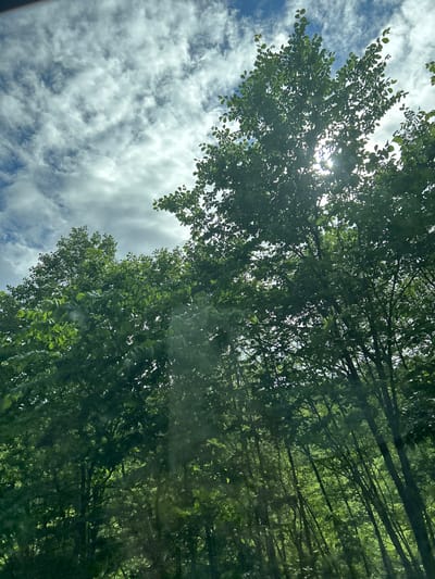 The image shows a view looking up through a canopy of dense green trees towards a sky filled with white and gray clouds. The sun is partially obscured by the leaves, creating a sunburst effect with visible rays of light. The trees appear to be deciduous, with lush foliage. The scene is outdoors and suggests a natural environment, possibly a park or a wooded area. There are no people or man-made structures clearly visible. The location in Усмангали, Russia is not discernible from the visual information provided in the image.
