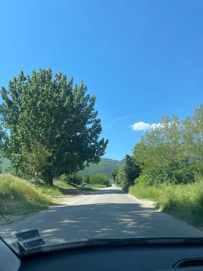 The image depicts a rural road in Mosomishte, Bulgaria, on a sunny day. The road is asphalt and has a light gray color, flanked by green grassy verges and trees. The view is from inside a vehicle, looking forward along the road. A large tree is visible on the left side of the road, and the sky is clear blue with a few wispy clouds. A distant mountain range is visible further down the road. The right side of the image includes a partial view of the inside of the vehicle, including the door frame and part of the window. A car is parked on the side of the road in the distance.