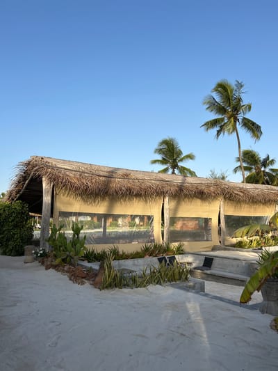This bright, sunlit image captures a serene tropical scene in Kiwengwa, Tanzania, featuring a building with a traditional thatched roof under a clear blue sky. The building, likely a restaurant, bar, or lodge, runs across the mid-ground. Its exterior features multiple large openings, possibly windows or doorways, covered with light-colored, opaque screens that reflect glimpses of the surroundings.
Tall palm trees with lush green fronds frame the upper left portion of the image, their trunks reaching towards the sky. Various tropical plants, including paddle-shaped cacti and long, variegated leaves, are arranged in beds along the base of the building and near concrete steps or planters to the right. The ground in the foreground and extending to the right is composed of light-colored sand or fine gravel, indicating a beachfront or resort setting.
The time of day appears to be mid-morning or early afternoon, with direct sunlight creating distinct shadows, suggesting warm, clear weather. No people are visible, contributing to a tranquil and inviting atmosphere. There is no discernible text within the image.