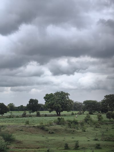 The image captures a cloudy day in the rural outskirts of Dongargoan, India. The sky is dominated by heavy, dark grey clouds, suggesting an impending rain. Below the dramatic sky, a vast expanse of lush green fields stretches across the landscape. In the mid-ground, a large, mature tree stands prominently, its green foliage providing a contrast to the muted tones of the sky and fields. Beyond this central tree, a field of crops is visible, appearing to be corn or a similar staple. A few individuals, small in scale due to the distance, can be seen working in this crop field, one of them carrying a red object. The foreground consists of gently rolling green terrain dotted with smaller bushes and trees. The overall impression is one of a tranquil, agricultural setting under a brooding sky.