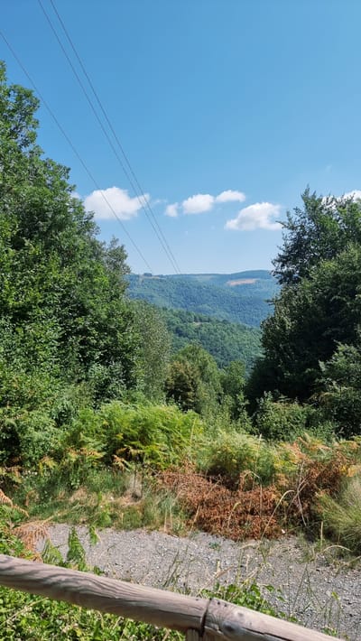 The image depicts a natural landscape with rolling green hills under a clear blue sky with scattered white clouds. In the foreground, dense green trees and ferns line a gravel path, partially obscured by a wooden railing. Overhead, two power lines stretch across the frame. The background reveals a vast expanse of forested mountains, characteristic of the mountainous terrain found in and around Molló, Spain. There are no people or animals visible in the scene.