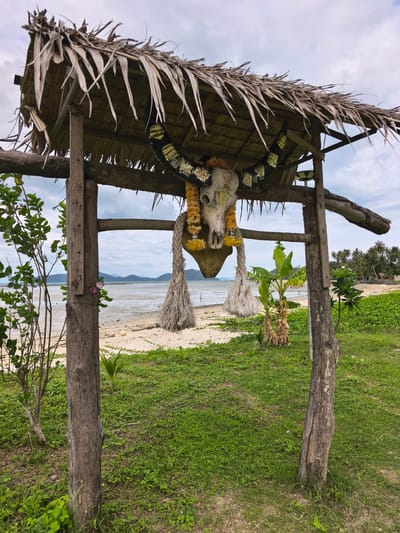 A rustic wooden archway with a thatched roof made of dried palm fronds stands on a grassy patch overlooking a tropical beach. From the center of the archway, a large animal skull, possibly a buffalo, is suspended. It is decorated with yellow floral garlands, black accents featuring gold leaf, and thick, braided ropes that hang downwards.
The foreground is covered in vibrant green grass and various small plants, including a young banana tree, around the archway's sturdy, weathered wooden posts. Beyond the grassy area, a sandy beach transitions into a broad expanse of exposed tidal flats or shallow water under an overcast sky. In the distant background, across the water, a series of low-lying hills or islands can be seen. The far shoreline is dotted with numerous palm trees and other tropical vegetation, among which small, traditional huts or bungalows are partially visible.
No people are present, and no specific activity is taking place; the scene portrays a static landscape feature. The weather appears cloudy or partly cloudy, typical of daytime with diffused light. On the forehead of the skull, a reddish, stylized heart-like symbol is visible. A golden pendant hanging below the skull bears Thai script, which mentions "Khao" (hill/mountain) and "Koh Samui," indicating a local dedication or origin, aligning with the Ban Bang Khao, Thailand location context. The scene evokes a sense of tropical tranquility and local cultural presence.