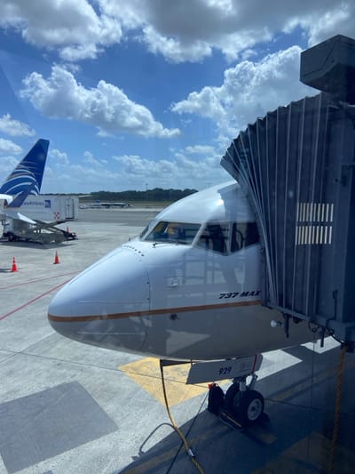 The image displays an airport tarmac scene at Tocumen International Airport in Tocumen, Panama, on a clear day with scattered cumulus clouds against a blue sky. In the foreground, the nose and cockpit section of a Boeing 737 MAX aircraft are visible, positioned at an airport gate. The aircraft is painted primarily white with a horizontal tan stripe along the lower fuselage, and "737 MAX" is printed in black below the cockpit windows.

A dark gray, accordion-style jet bridge is extended and connected to the aircraft's forward door, obscuring part of the fuselage. The nose landing gear, marked with "929" in red, rests on the concrete apron, secured by yellow wheel chocks. A yellow ground power cable is connected to the aircraft's lower forward fuselage.

In the mid-ground, to the left of the primary aircraft, the distinctive blue and white tail fin of a Copa Airlines aircraft is visible, along with a portion of its fuselage and an engine nacelle. Ground service equipment, including a white cargo loader and orange traffic cones, is positioned near the Copa Airlines aircraft. The concrete tarmac features yellow painted markings. The background reveals a distant line of green trees and additional parked aircraft. The photograph appears to be taken from inside an airport terminal through a window, evidenced by subtle reflections. No individuals are distinctly identifiable in the scene.