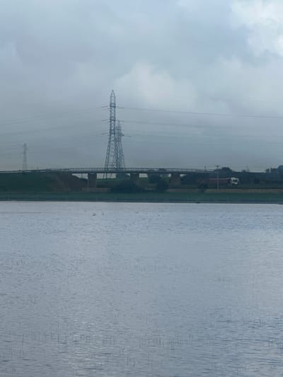 The image depicts an expansive outdoor scene in Oumazza, Morocco, under an overcast sky. The foreground is dominated by a placid body of water exhibiting minor surface ripples and numerous slender, dark, vertical structures consistent with submerged vegetation. Several small, light-colored birds are visible on the water's surface, particularly in the left-center.
A narrow strip of green land, likely an embankment, separates the water from an elevated concrete bridge spanning horizontally across the midground. The bridge features multiple support piers. On the bridge deck, a light-colored truck with a distinct cab and cargo area is visible traveling from right to left.
Behind and above the bridge, two prominent lattice steel power transmission towers are situated, with a taller tower in the center-left and a slightly smaller one immediately behind it. Multiple high-voltage power lines extend horizontally across the frame, supported by these towers and receding into the atmospheric haze. A third, smaller power transmission tower is faintly visible in the far-left background. The overall environment appears rural or semi-industrial, characterized by infrastructure.