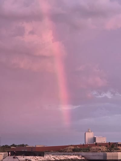 A pink rainbow arcs across a cloudy sky, casting a soft glow over a cityscape. In the foreground, a body of water reflects the dusky light. Beyond the water, low-rise buildings with red brick facades line the shore. A taller, modern structure with a silver tower stands out against the horizon. A narrow walkway with a few people on it is visible in the lower left corner, suggesting a public area. A bird can be seen in flight against the colorful sky, adding a dynamic element to the otherwise still scene. The overall impression is one of a serene, twilight moment in a coastal city.