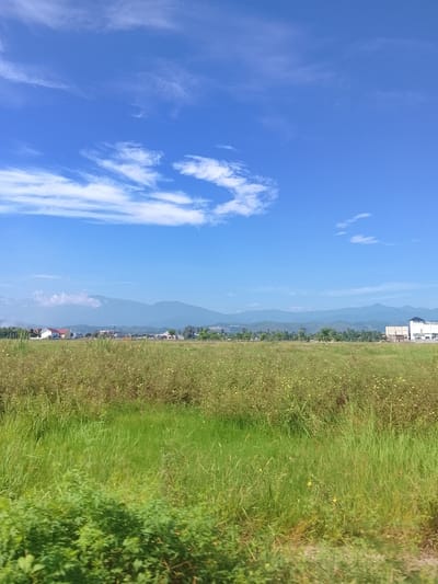 This is a landscape photograph taken in Rhieng Mancang, Indonesia, featuring a vast, open field under a clear blue sky with scattered white clouds. The foreground is dominated by lush green grass and some taller weeds, with a hint of a dirt path visible at the very bottom. In the middle ground, the field transitions to drier, yellowish-brown vegetation dotted with small yellow flowers. A small cluster of buildings, including houses with red and white roofs, is visible in the distance to the left. Further in the background, a range of hazy, blue mountains stretches across the horizon, suggesting a rural or semi-rural environment. The overall scene depicts a serene, natural landscape with signs of human habitation integrated into the environment.