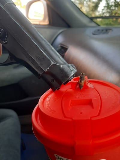 This close-up, eye-level, outdoor photograph captures a handgun pointing towards a red container, possibly a coffee cup lid, which has a fly perched on it. The pistol appears to be a semi-automatic model with visible markings on its side, including "MADE IN TAIWAN" and "Cal.177 (4,5 mm)". The red container has the words "CAUTION: HOT" printed on it. The background is blurred, but suggests an indoor setting, possibly the interior of a vehicle, with hints of trees and sunlight filtering through. The lighting suggests it is daytime. There are no people visible in the image, and the focus is on the interaction between the inanimate objects and the insect. The scene is static, with no clear activity taking place beyond the presence of the fly.