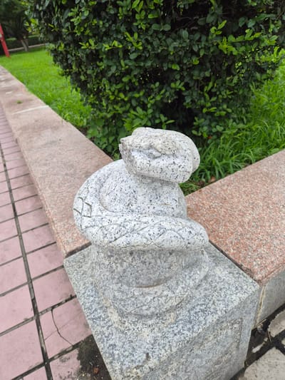 A stone sculpture of a coiled snake is situated outdoors on a granite ledge. The snake statue is carved from speckled gray stone and is positioned in the foreground, with its head resting on its coiled body. Behind the sculpture, a dense green bush is visible, with green grass extending to the left. A path made of pinkish square tiles borders the granite ledge. The scene appears to be in a park or public garden area. The specific location is a garden in the city of Hunchun, Jilin Province, China.