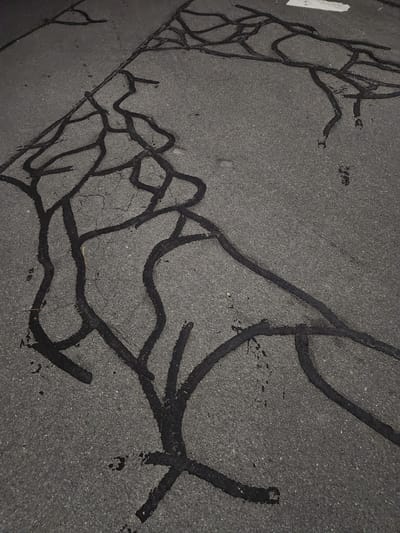 The image depicts a section of asphalt pavement in Altdorf, Switzerland, which exhibits a network of cracks. These cracks have been filled with a black, tar-like sealant material. The sealant is applied in irregular patterns, tracing the paths of the cracks and extending slightly beyond their edges in some areas. The asphalt surface itself appears textured and worn, with a gray color. A small piece of white debris, possibly a fragment of plastic, is visible on the left side of the frame.