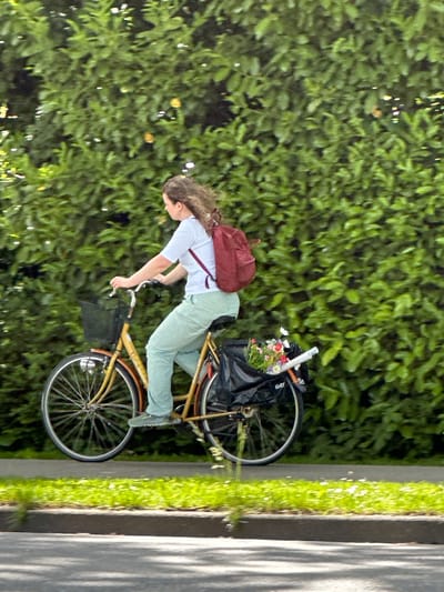 A woman is riding a bicycle on a street in Dronten, Netherlands. She has a red backpack and is wearing a white shirt and light green pants. The bicycle has a basket with flowers on the back. The street is next to a grassy area with white flowers and a hedge.