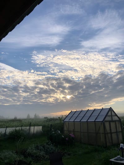 This is a photograph taken in the city of Uriupino, Russia. The image captures a rural scene at dawn or dusk. In the foreground, a greenhouse with a translucent covering is situated on a grassy area. To the left of the greenhouse, a fence made of wooden posts and plastic sheeting is visible. Beyond this, a field stretches out, dotted with small white flowers and shrouded in a light mist. In the distance, a line of trees is silhouetted against the hazy sky. The sky itself is filled with dramatic clouds, illuminated by the rising or setting sun, which peeks through a gap in the cloud cover, casting a warm glow. The overall impression is one of tranquility and the quiet beauty of a rural morning or evening in Russia.