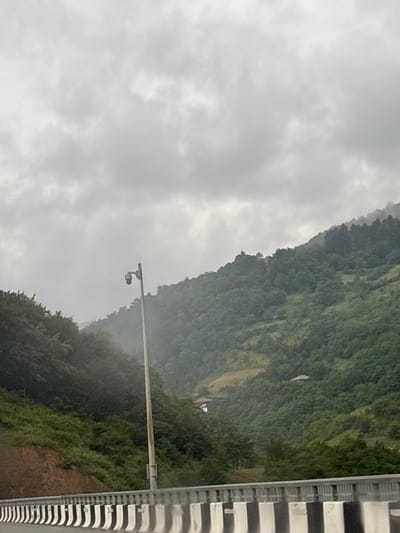 The media file is an outdoor shot of a landscape with a cloudy sky. The dominant subjects are a lush, green mountainside and a segment of a modern structure with black and white horizontal stripes, likely a bridge or railing. A security camera is mounted on a pole extending from the striped structure. The mountainside appears dense with vegetation and slopes downwards. The sky is overcast, suggesting a cloudy or possibly rainy day. There are no people visible in the image. The scene evokes a sense of a natural, slightly somber environment due to the cloudy weather. The striped structure on the right side of the frame provides a man-made element contrasting with the natural landscape. No text is visible in the image. The image is oriented vertically, with the mountainside occupying the right half and the cloudy sky the left.