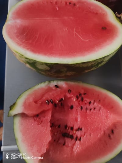 The image displays two halves of a cut watermelon, positioned one above the other against a neutral, light-colored surface. The top half shows a clean, cross-section of the watermelon's vibrant pink flesh with a smooth rind. The bottom half is a smaller slice, also revealing the pink interior dotted with black seeds and exhibiting a slightly more textured surface. The bottom right corner of the image contains text overlay indicating "HONOR 90 200MP Matrix Camera". No specific location within Красная Поляна, Russia is discernible from the visual elements presented.