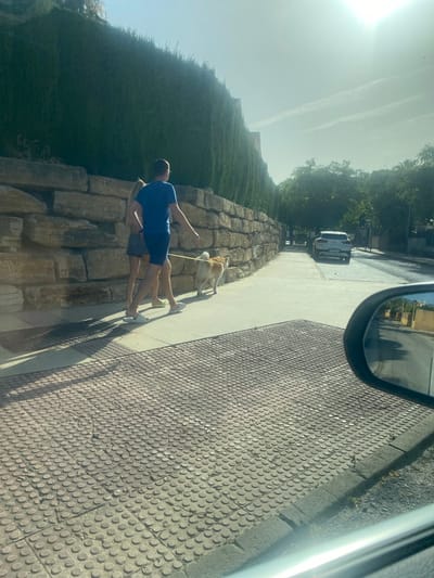In Bel Air, Spain, a man and woman are walking their dog along a sidewalk. The man, wearing a blue t-shirt and shorts, is on the right, holding a yellow leash attached to a light brown dog with white markings. The woman, to his left, wears a grey skirt and a light-colored top. They are walking on a light-colored sidewalk with a patterned texture. Behind them, a low stone wall separates the sidewalk from a steep, tall green hedge. The sun is shining brightly, casting long shadows. In the background, a white car is parked on the road, and trees line the street. The scene appears to be from the perspective of someone in a vehicle, as a car's side mirror is visible in the lower right corner of the image, reflecting the street and buildings.