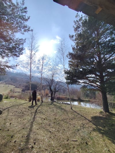 The image depicts an outdoor landscape in Marutsekovtsi, Bulgaria. The scene is under a bright, partially cloudy sky with the sun visible, casting long shadows. The foreground consists of sparsely vegetated ground strewn with numerous pine cones, sloping downward towards a small body of water. A single individual, dressed in dark outerwear, walks from left to right across this grassy area, their back largely towards the camera, casting an elongated shadow. The environment includes several trees: dark-needled evergreen trees frame the composition on the left and right, and multiple bare deciduous trees with slender trunks are positioned near the water and the walking individual. In the background, rolling hills or mountains are visible. A dark, angular architectural element, consistent with a roof eave or overhang, occupies the upper right corner, indicating an elevated viewpoint. The long shadows suggest either early morning or late afternoon.